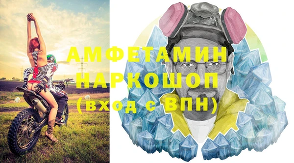 индика Ужур