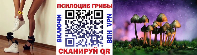 Псилоцибиновые грибы ЛСД  нарко площадка наркотические препараты  Злынка  что такое  