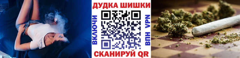 купить  цена  Злынка  Канабис Amnesia 